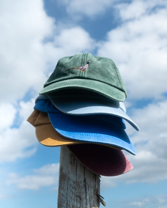 Pet - ITGWO 2025 x Koen Taselaar Fazant