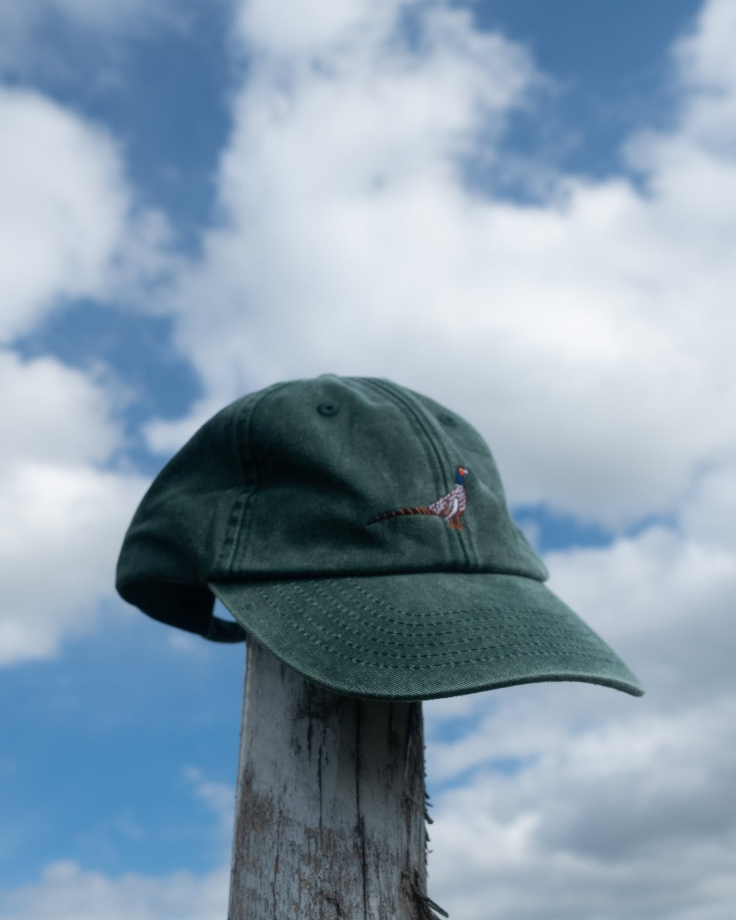 Pet - ITGWO 2025 x Koen Taselaar Fazant