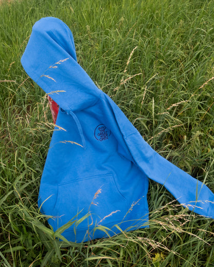 Hoodie - ITGWO 2025